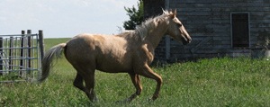 tuffy2.jpg